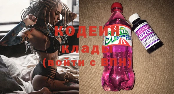 первитин Богданович