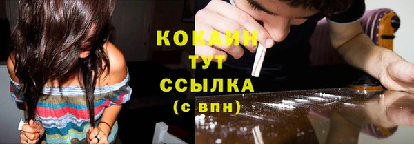 мяу мяу мука Богородицк