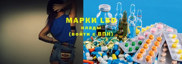 первитин Богданович