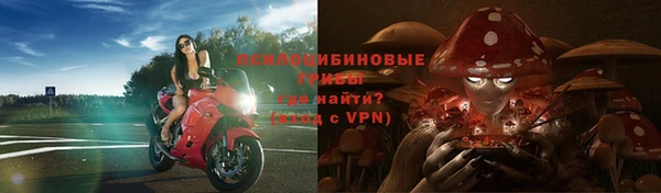 мяу мяу мука Богородицк