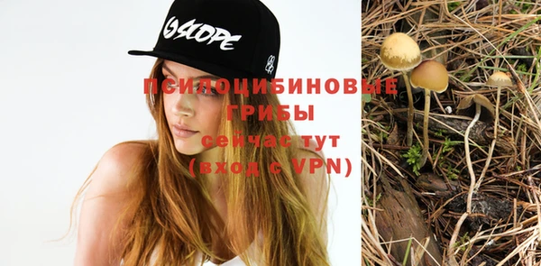 первитин Богданович