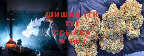 первитин Богданович