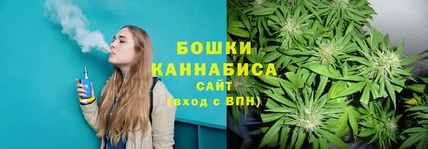 первитин Богданович