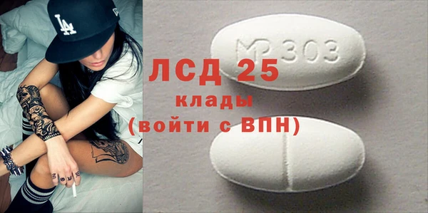 первитин Богданович