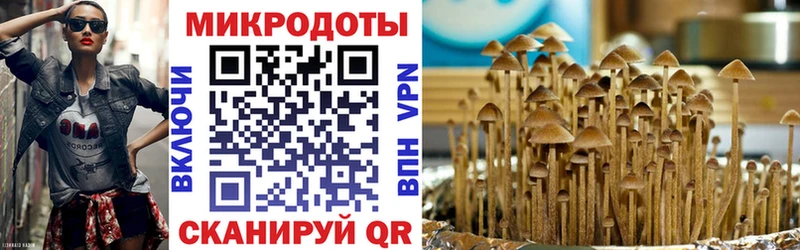 Галлюциногенные грибы Psilocybine cubensis  Мичуринск 